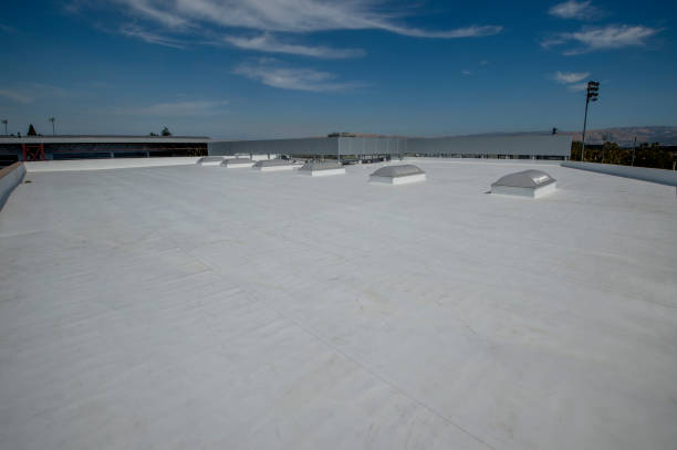 Best Sheet Metal Roofing  in Woods Creek, WA